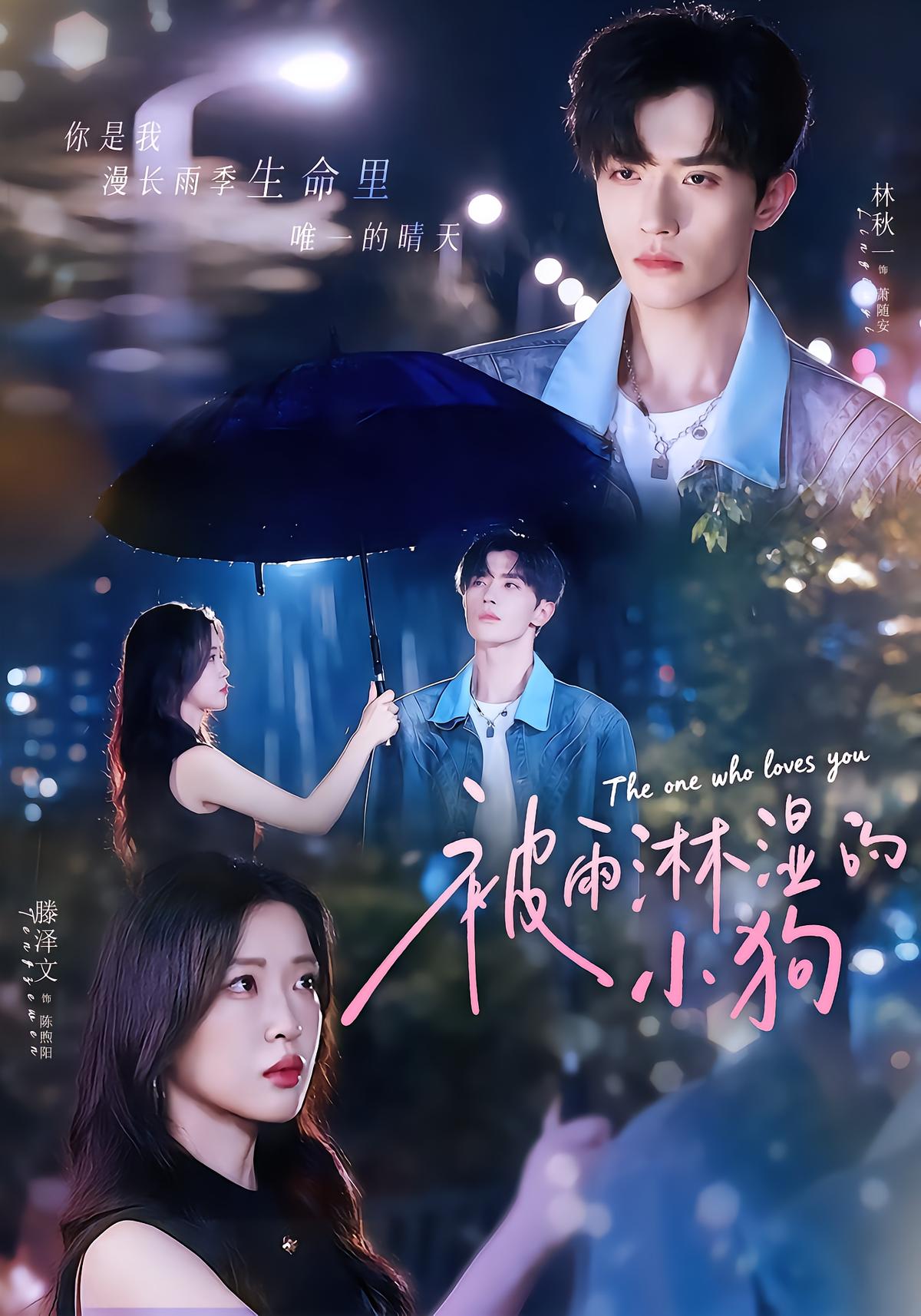被雨淋湿的小狗