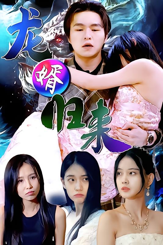 龙婿归来