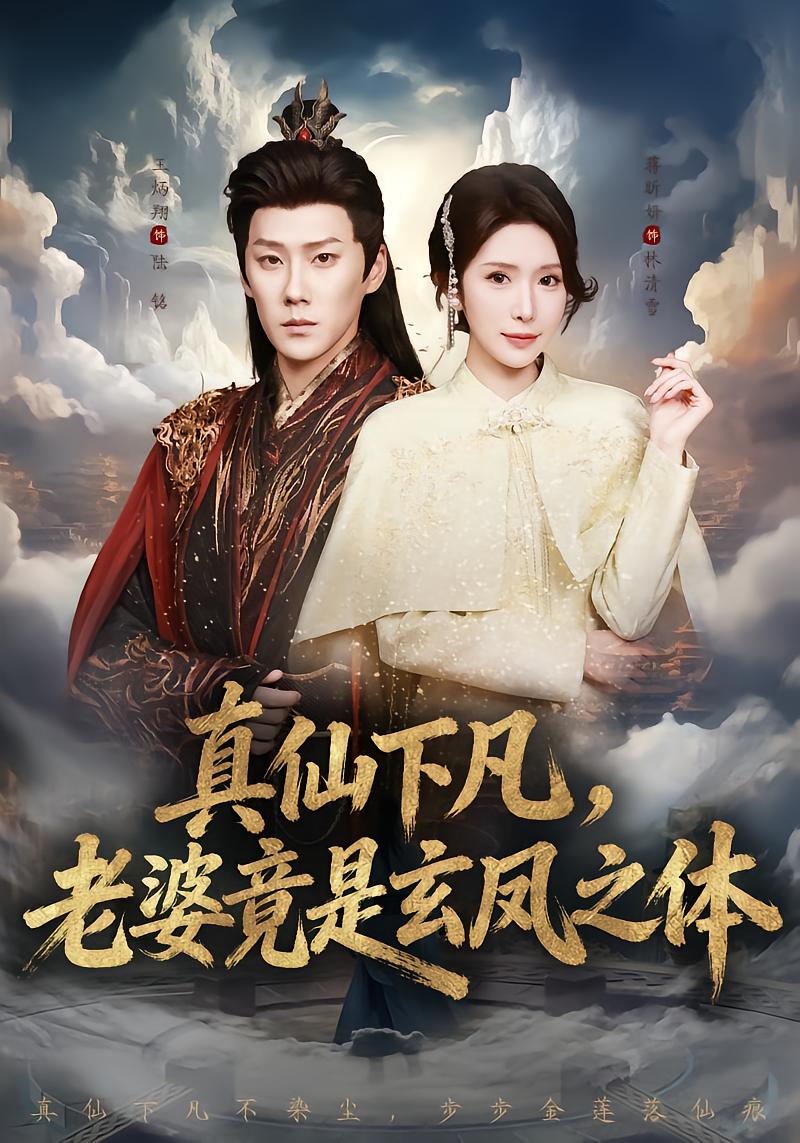 真仙下凡，老婆竟是玄凤之体