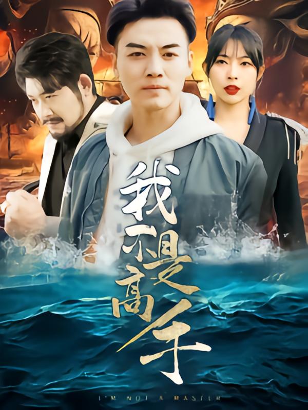 我不是高手