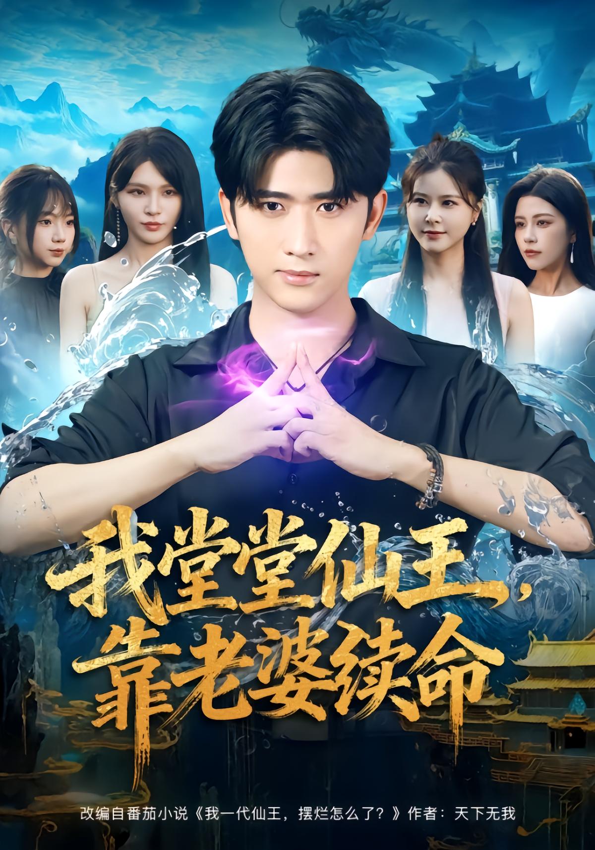 Immortal King Ye Chen, Sustained by His Wife