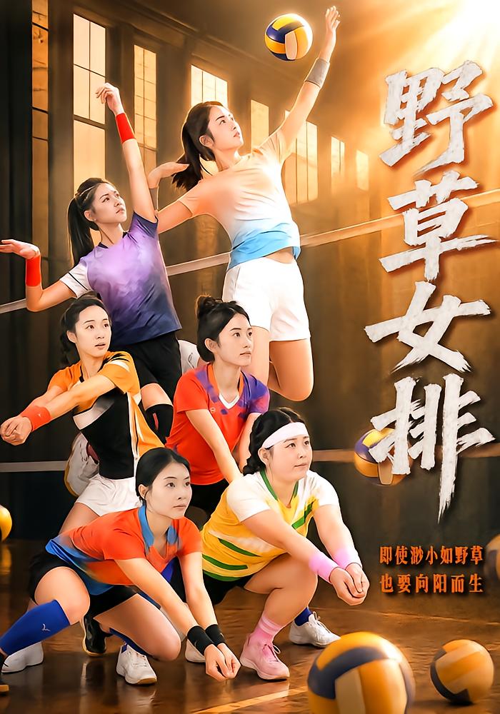 Wild Grass Volleyball Team