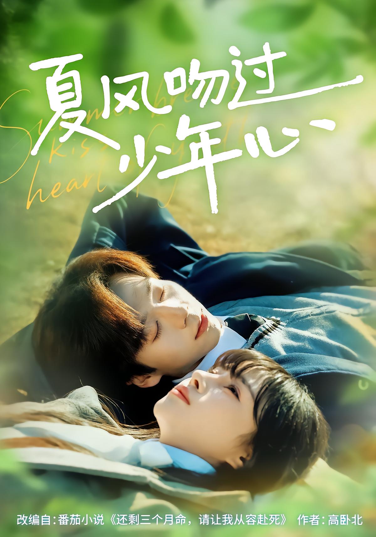 Summer Breeze Kisses the Boy's Heart