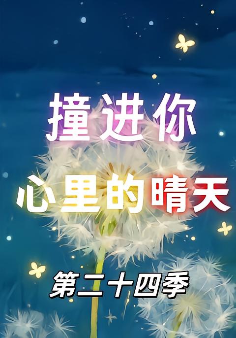 撞进你心里的晴天第二十四季