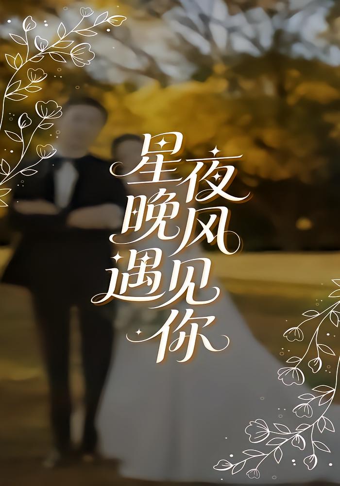 星夜晚风遇见你