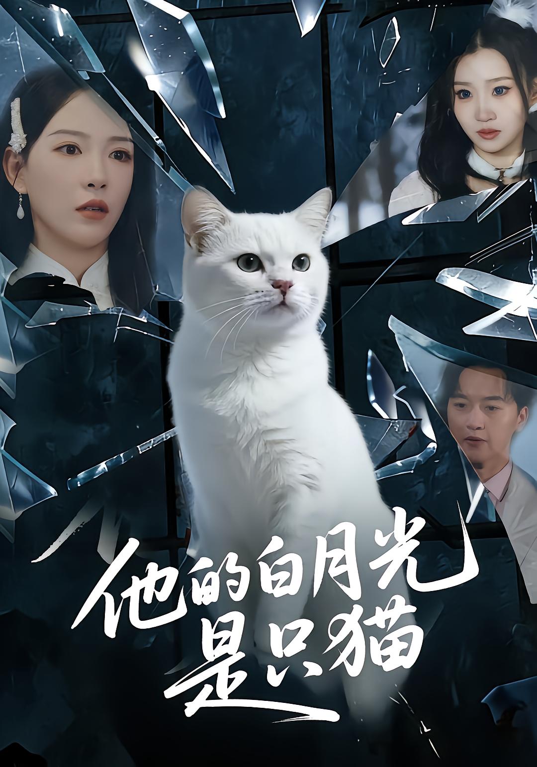 His White Moonlight Is a Cat