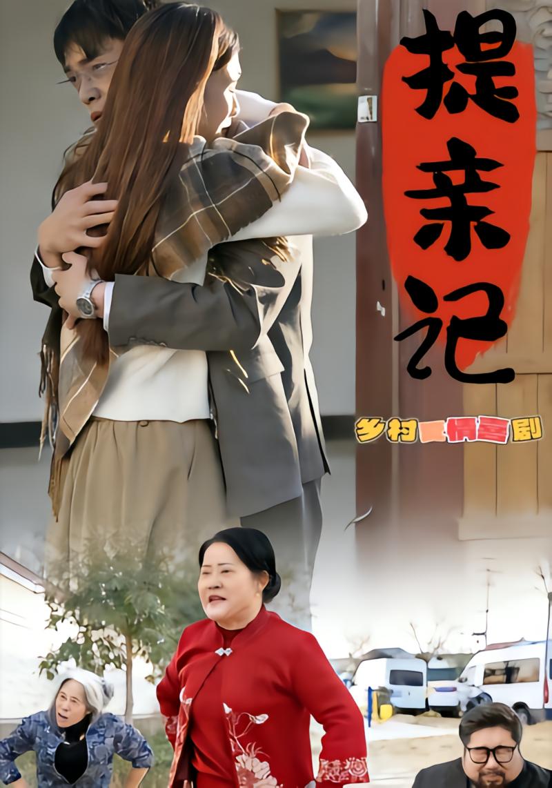 提亲记