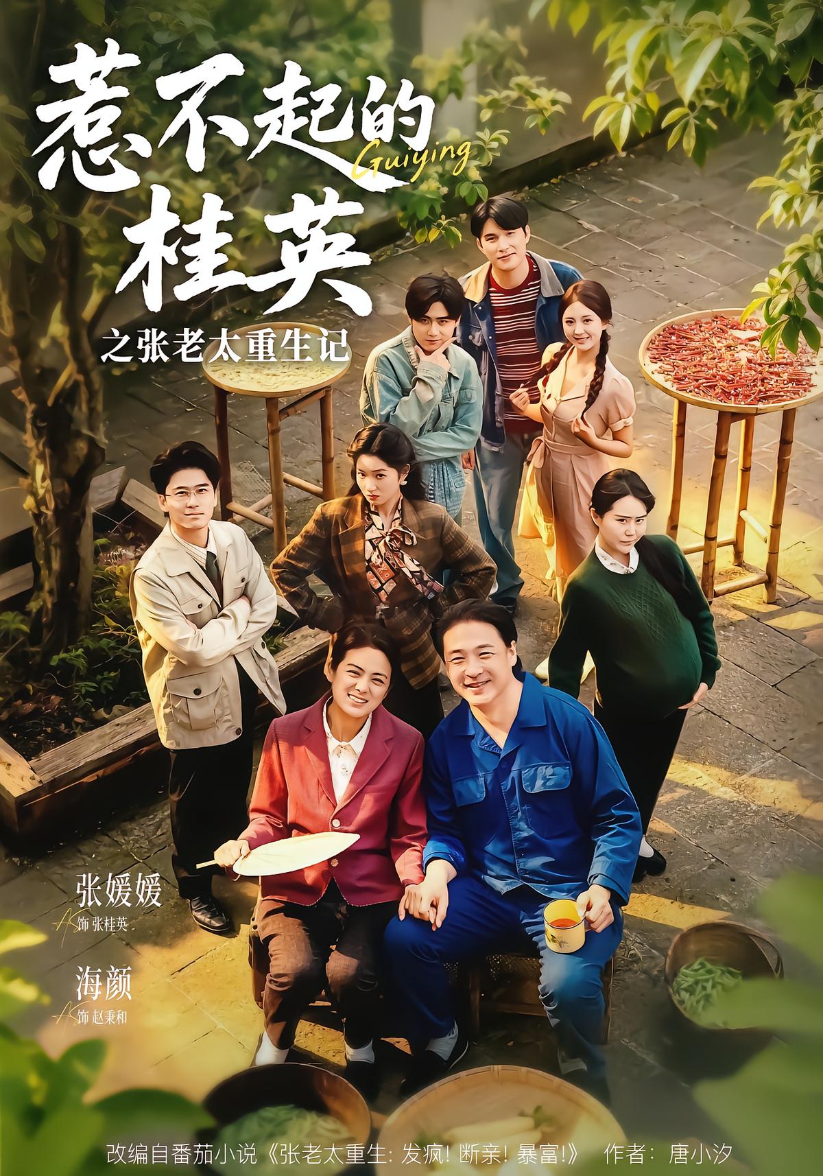 惹不起的桂英之张老太重生记