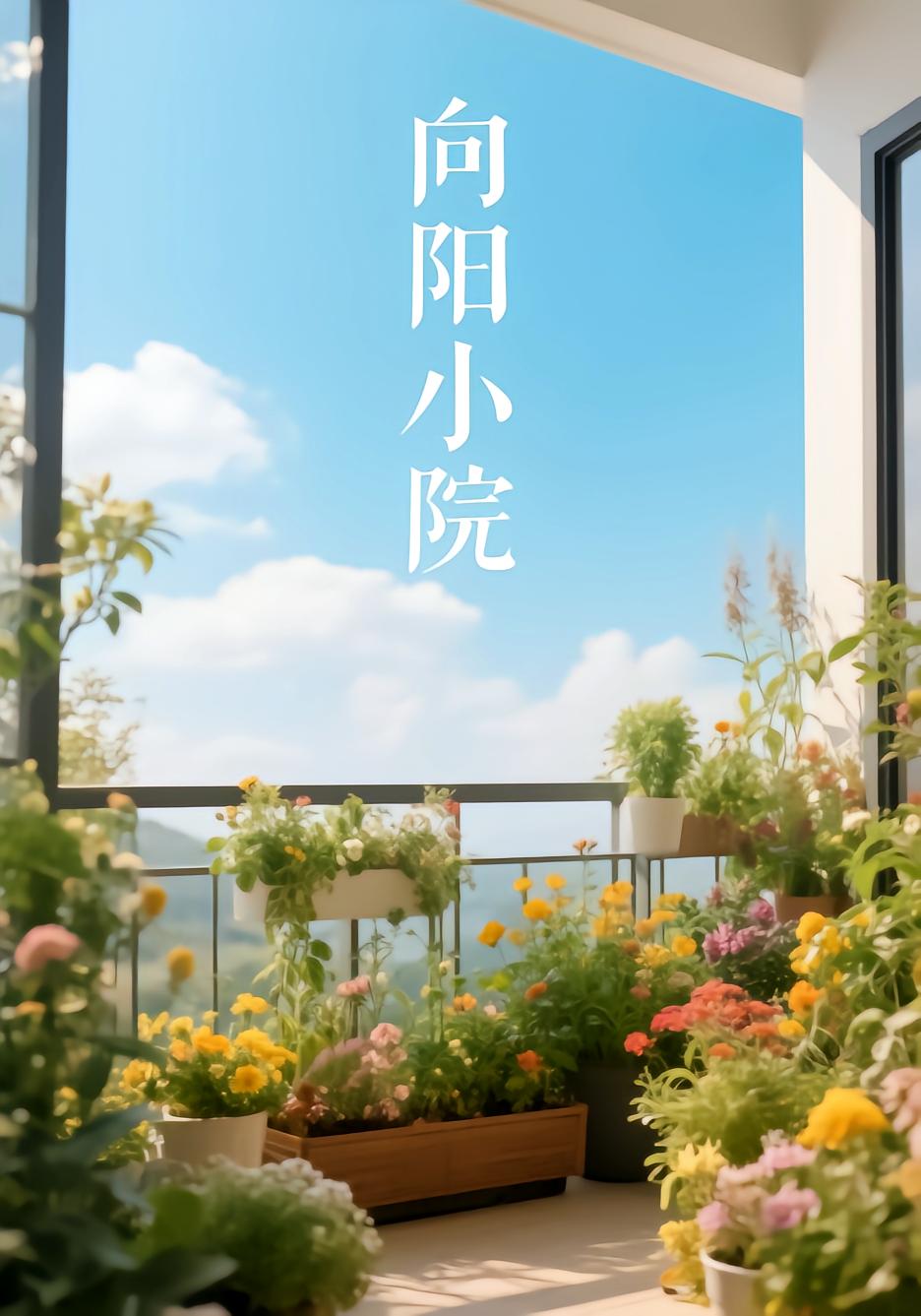 向阳小院