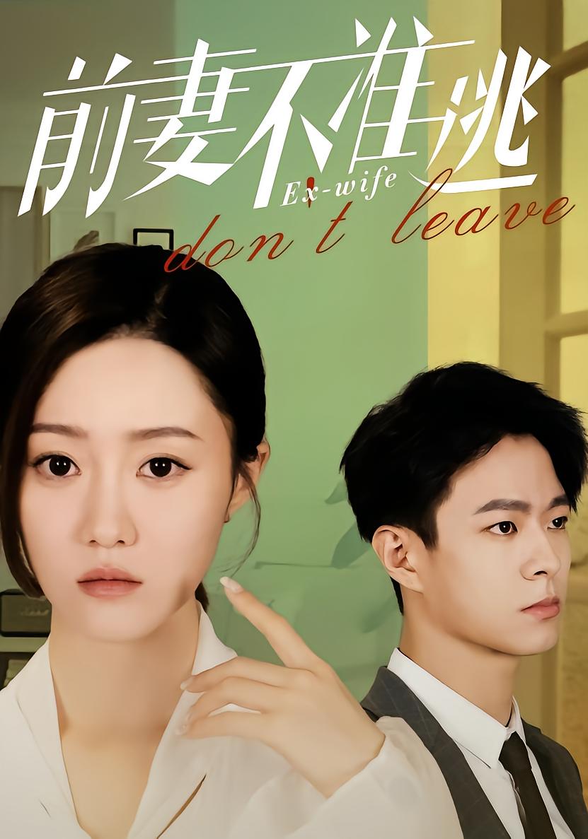 前妻不准逃