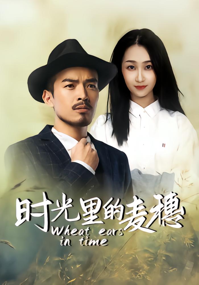 时光里的麦穗
