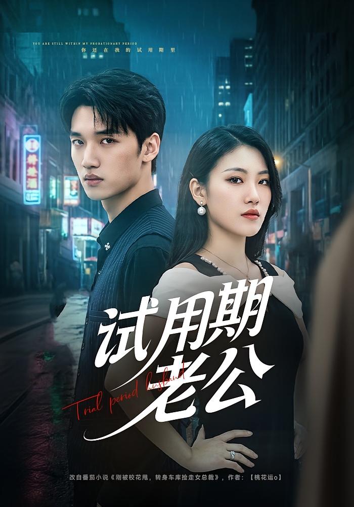 Trial Period Husband
