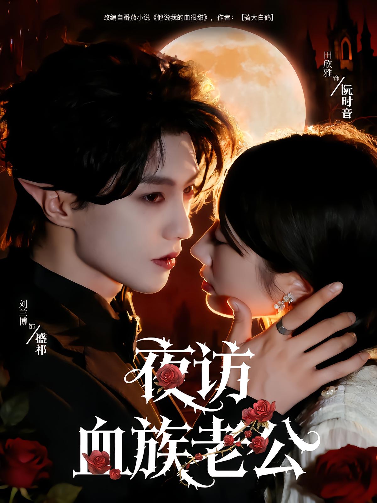 Visiting My Vampire Husband