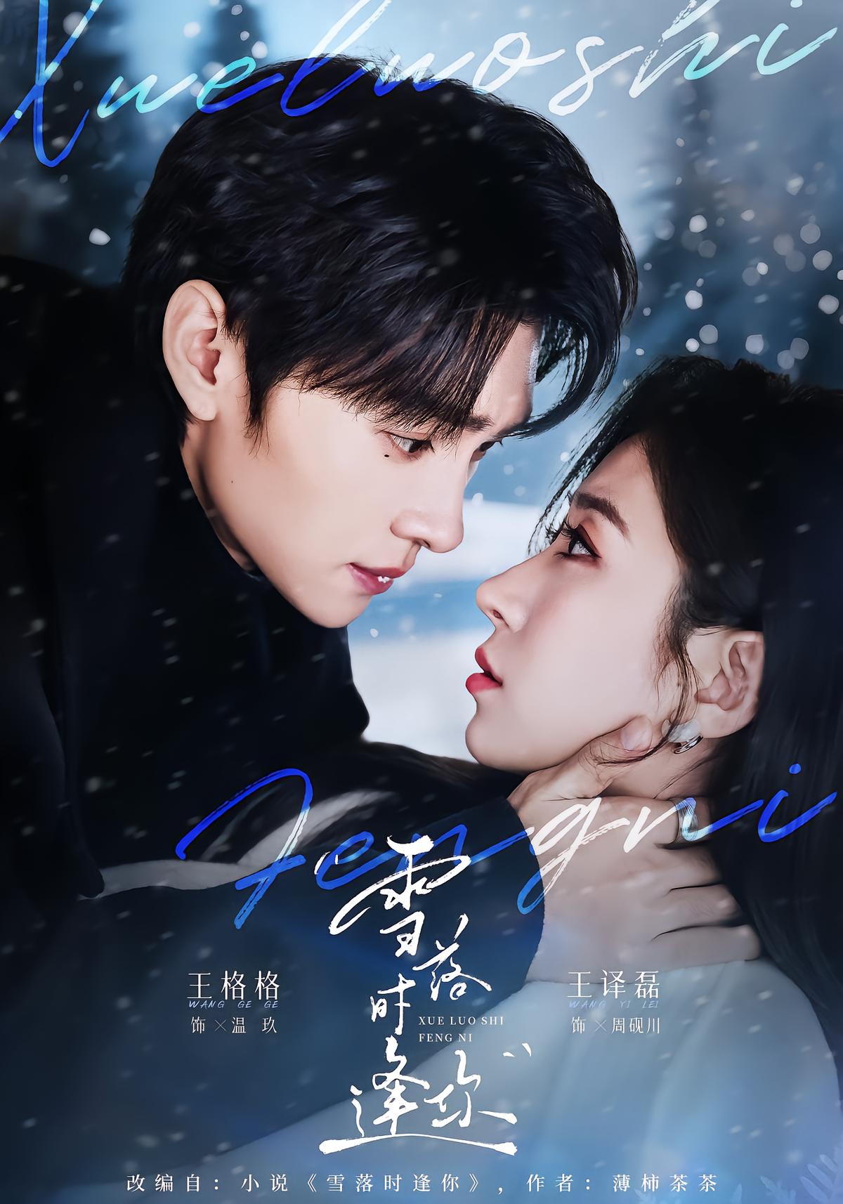 Meeting You When Snow Falls