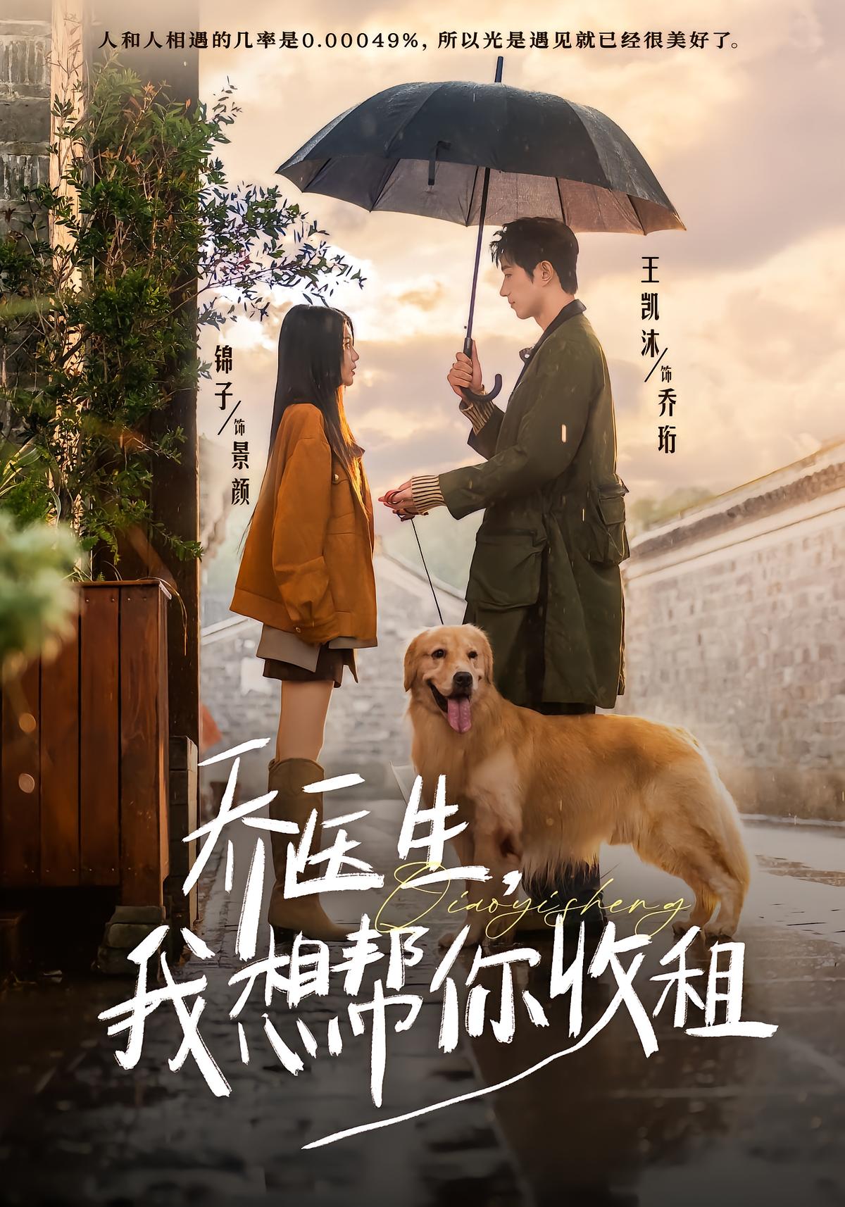 乔医生，我想帮你收租