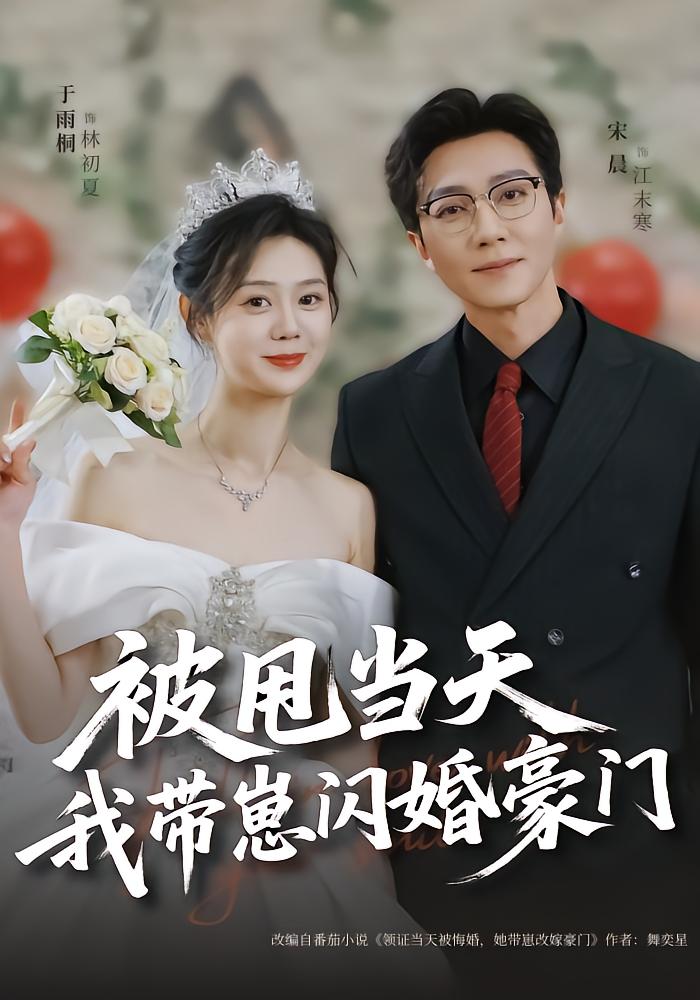 被甩当天,我带崽闪婚豪门