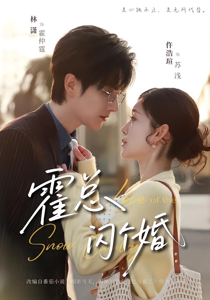 Mr. Huo, Flash Marriage