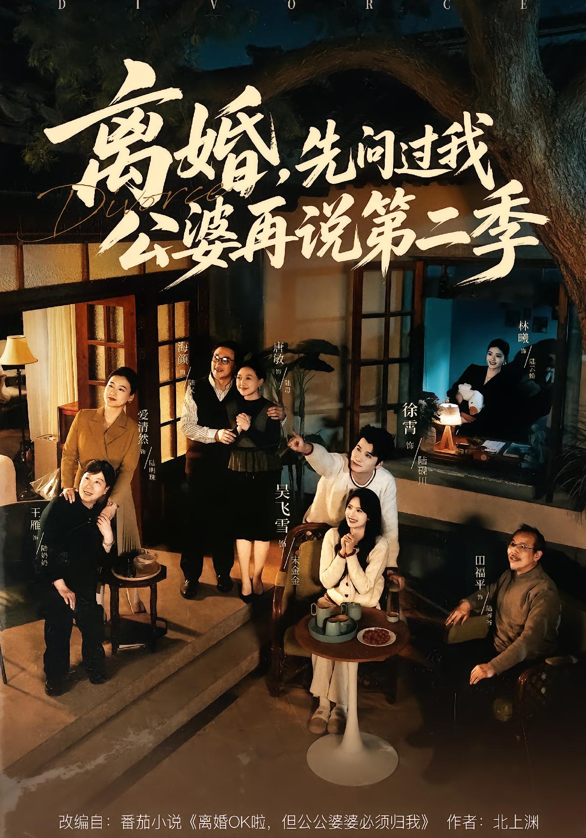离婚，先问过我公婆再说第二季