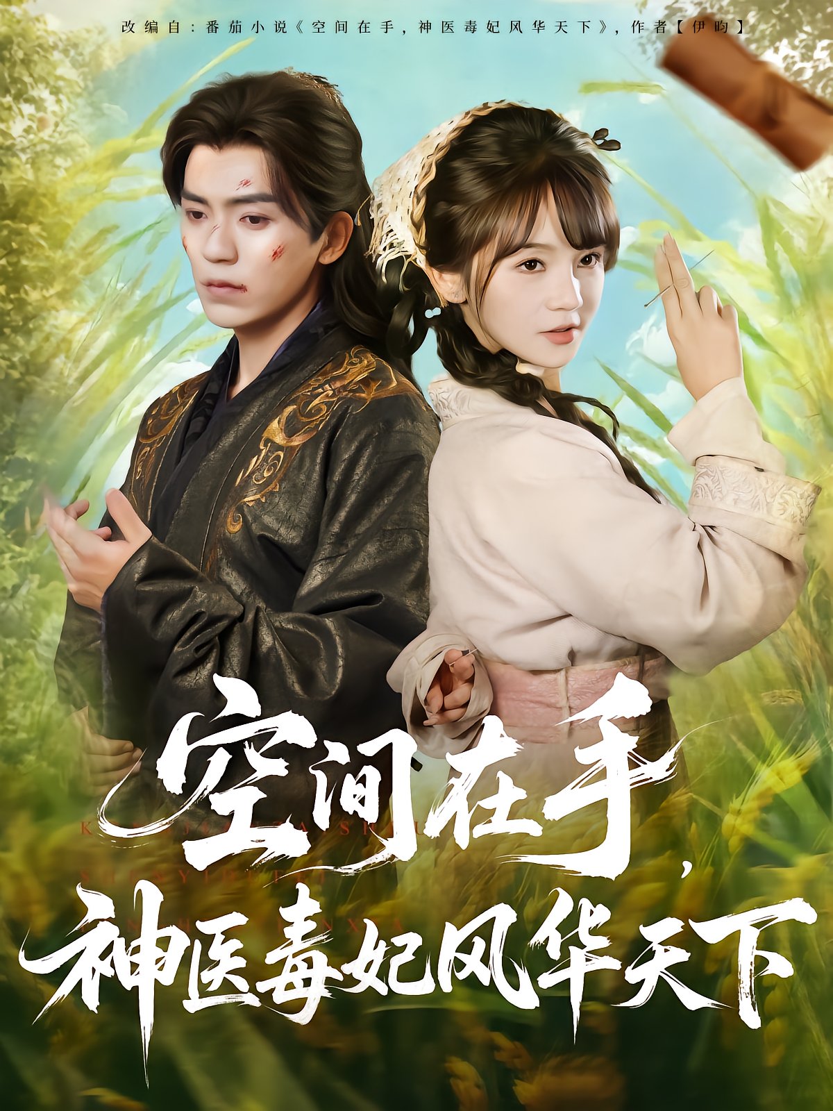 Space in Hand, Divine Doctor and Poisonous Concubine Conquer the World