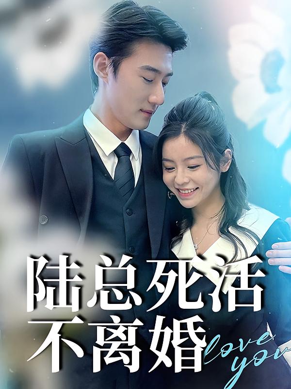 Mr. Lu Refuses Divorce