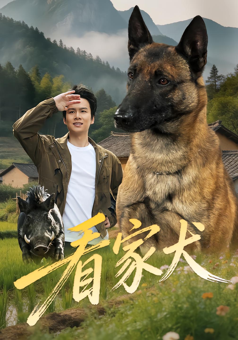 看家犬