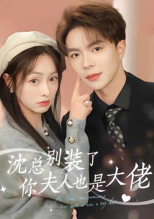 Mr. Shen, Stop Pretending; Your Wife Is Also a Boss