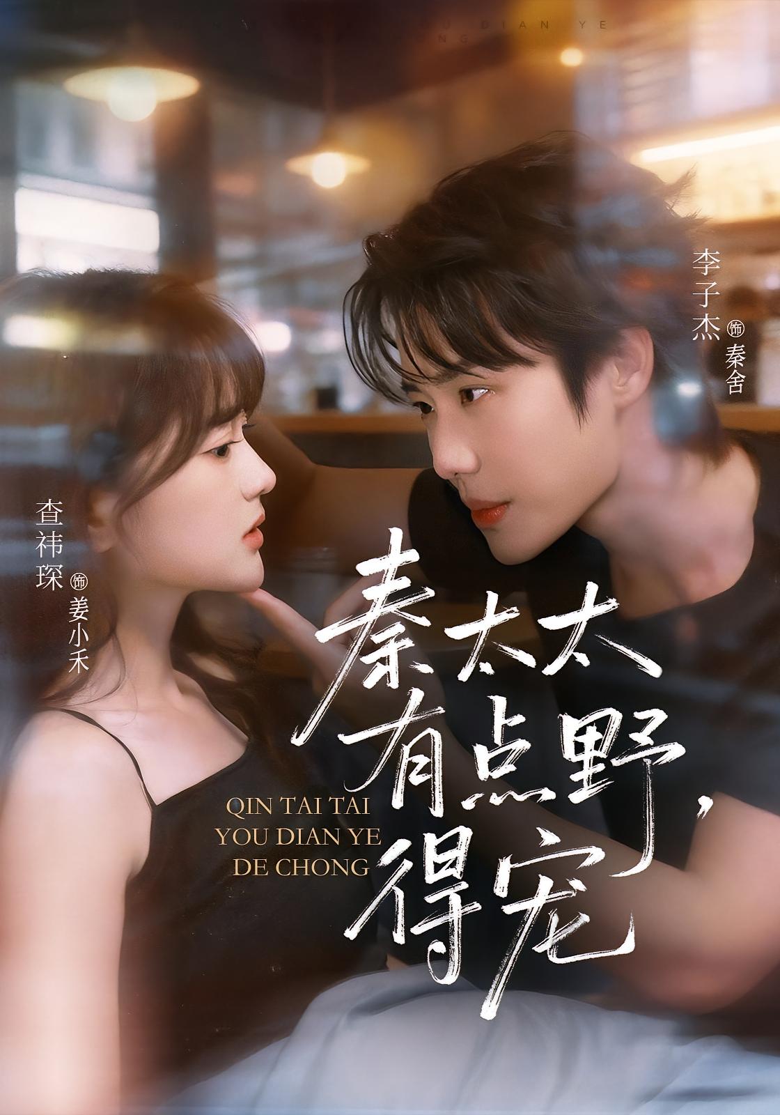 Mad Wife Qin Lady