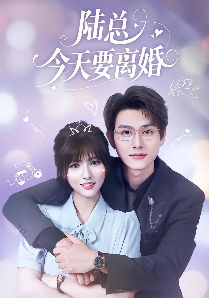 Mr. Lu Divorces Today