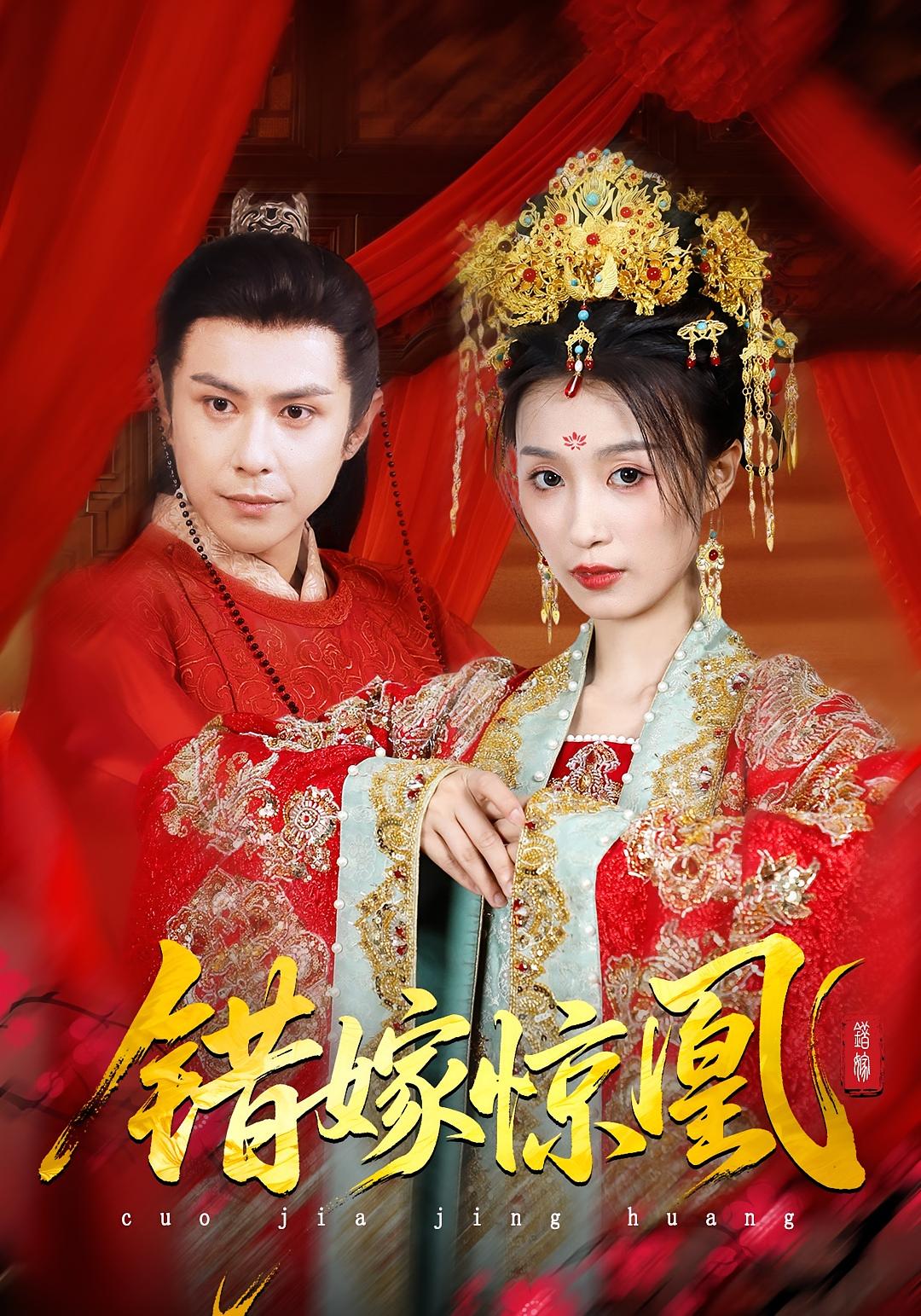 Mistaken Bride, Hidden Heir