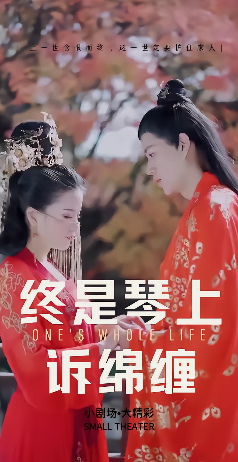终是琴上诉绵缠