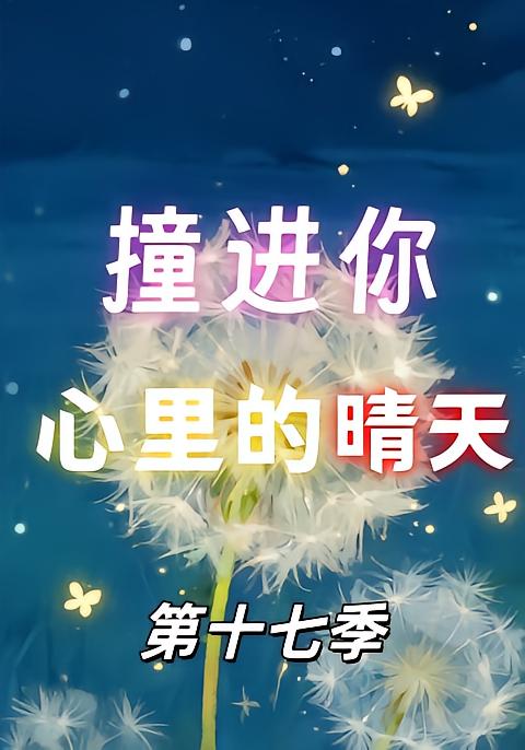 撞进你心里的晴天第十七季