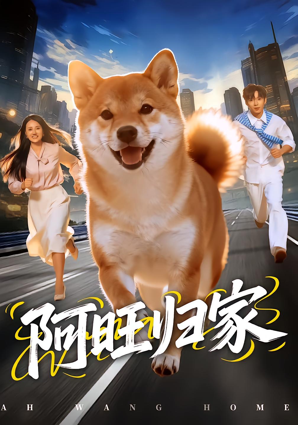 阿旺归家