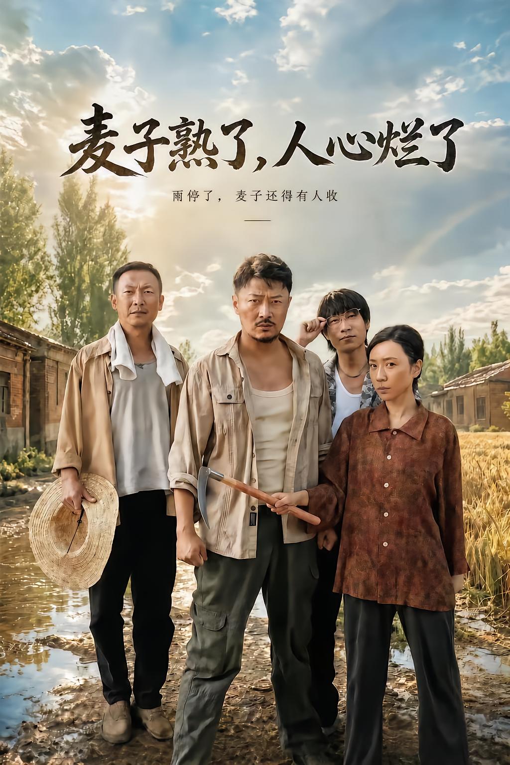 麦子熟了，人心烂了