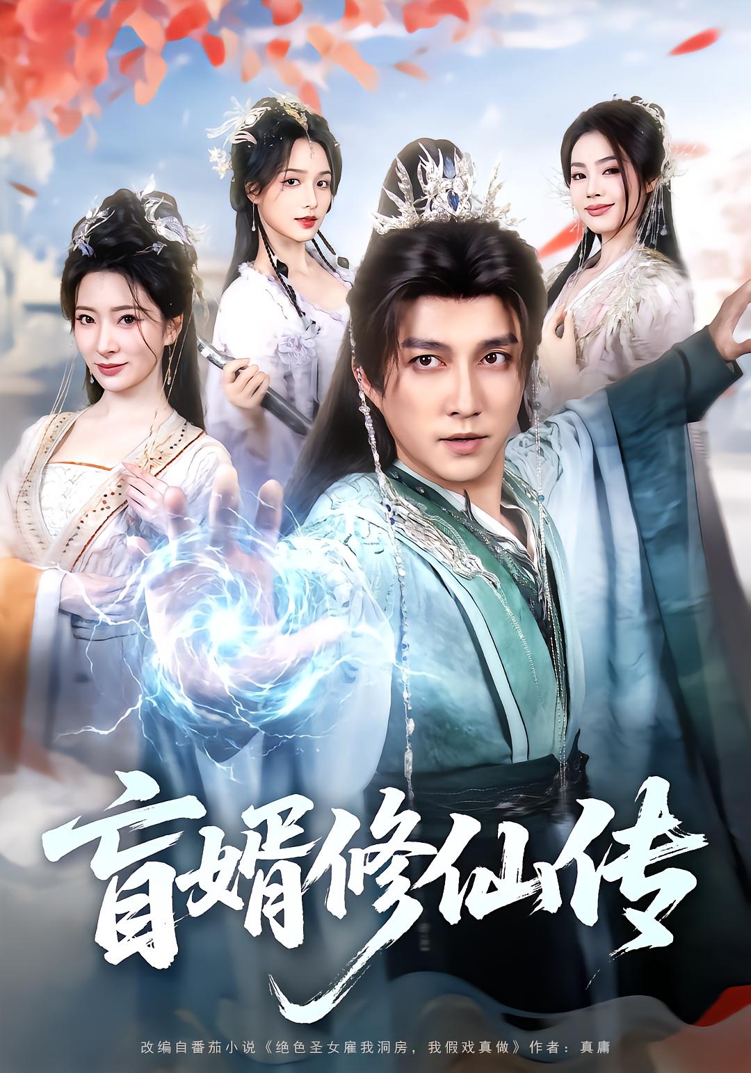 盲婿修仙传