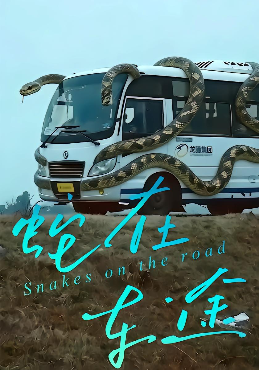 Snake on the Road