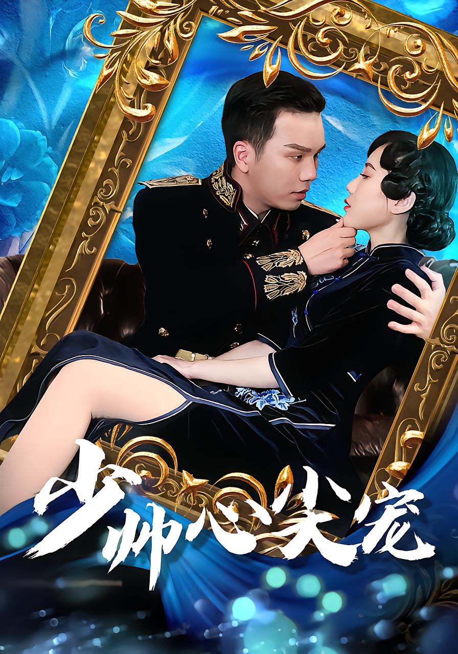 少帅心尖宠