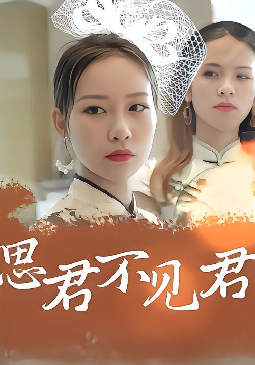 思君不见君