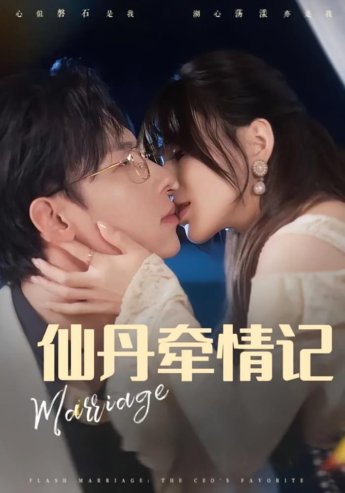 Immortal Pill Romance